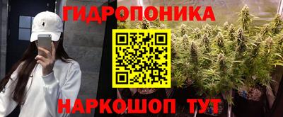 Альфа ПВП Моздок