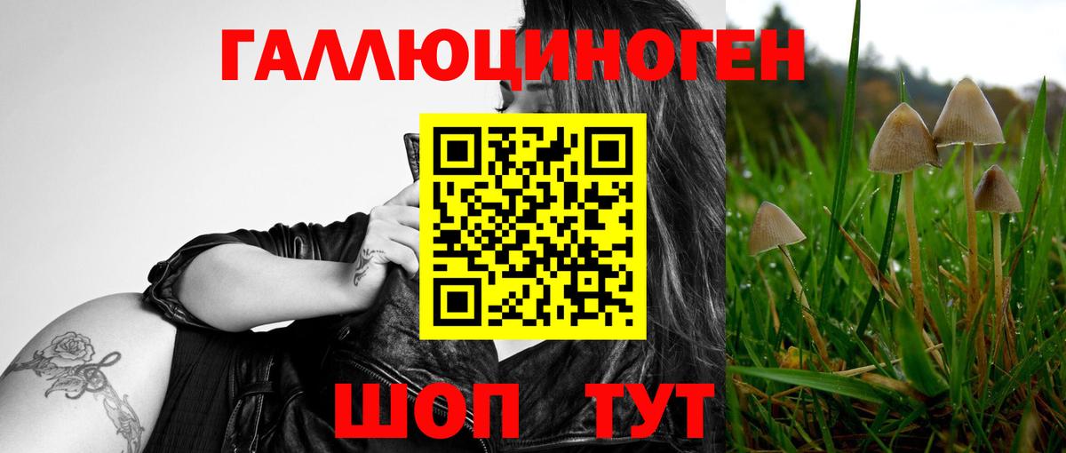 Галлюциногенные грибы MAGIC MUSHROOMS  Галлюциногенные грибы Psilocybine cubensis  Вход с VPN  Туймазы 